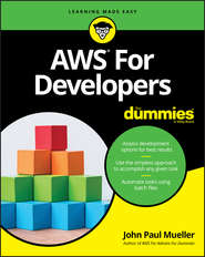 бесплатно читать книгу AWS for Developers For Dummies автора John Paul Mueller