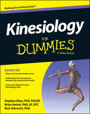 бесплатно читать книгу Kinesiology For Dummies автора Rick Albrecht