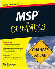 бесплатно читать книгу MSP For Dummies автора Alan Ferguson