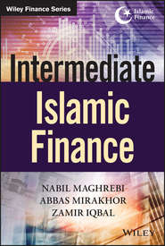 бесплатно читать книгу Intermediate Islamic Finance автора Zamir Iqbal