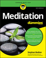 бесплатно читать книгу Meditation For Dummies автора Stephan Bodian