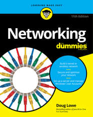 бесплатно читать книгу Networking For Dummies автора Doug Lowe