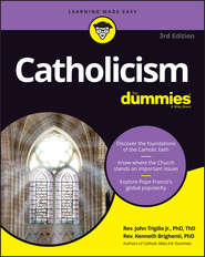 бесплатно читать книгу Catholicism For Dummies автора John Trigilio