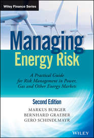 бесплатно читать книгу Managing Energy Risk. An Integrated View on Power and Other Energy Markets автора Markus Burger