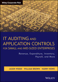 бесплатно читать книгу IT Auditing and Application Controls for Small and Mid-Sized Enterprises. Revenue, Expenditure, Inventory, Payroll, and More автора William Brown