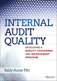 бесплатно читать книгу Internal Audit Quality. Developing a Quality Assurance and Improvement Program автора Sally-Anne Pitt