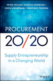 бесплатно читать книгу Procurement 20/20. Supply Entrepreneurship in a Changing World автора Henrique Teixeira