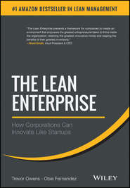 бесплатно читать книгу The Lean Enterprise. How Corporations Can Innovate Like Startups автора Trevor Owens