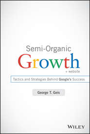 бесплатно читать книгу Semi-Organic Growth. Tactics and Strategies Behind Google's Success автора George Geis