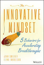 бесплатно читать книгу The Innovative Mindset. 5 Behaviors for Accelerating Breakthroughs автора John Sweeney