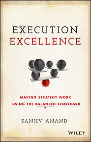 бесплатно читать книгу Execution Excellence. Making Strategy Work Using the Balanced Scorecard автора Sanjiv Anand