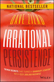 бесплатно читать книгу Irrational Persistence. Seven Secrets That Turned a Bankrupt Startup Into a $231,000,000 Business автора Dave Zilko