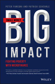 бесплатно читать книгу Small Money Big Impact. Fighting Poverty with Microfinance автора Patrick Scheurle