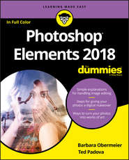 бесплатно читать книгу Photoshop Elements 2018 For Dummies автора Barbara Obermeier