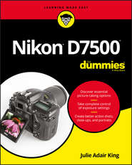 бесплатно читать книгу Nikon D7500 For Dummies автора Julie King