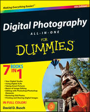 бесплатно читать книгу Digital Photography All-in-One Desk Reference For Dummies автора David Busch