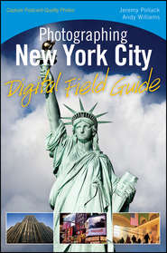 бесплатно читать книгу Photographing New York City Digital Field Guide автора Andy Williams