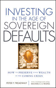 бесплатно читать книгу Investing in the Age of Sovereign Defaults. How to Preserve your Wealth in the Coming Crisis автора Peter Treadway