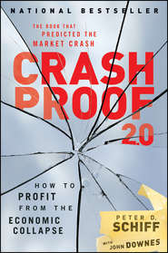 бесплатно читать книгу Crash Proof 2.0. How to Profit From the Economic Collapse автора John Downes