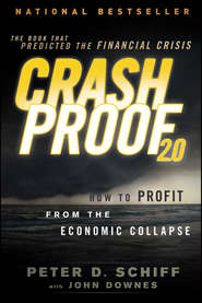 бесплатно читать книгу Crash Proof 2.0. How to Profit From the Economic Collapse автора John Downes