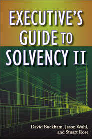 бесплатно читать книгу Executive's Guide to Solvency II автора David Buckham