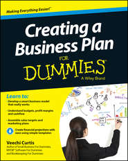 бесплатно читать книгу Creating a Business Plan For Dummies автора Veechi Curtis