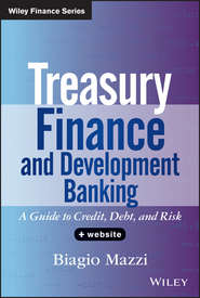 бесплатно читать книгу Treasury Finance and Development Banking. A Guide to Credit, Debt, and Risk автора Biagio Mazzi