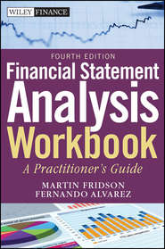 бесплатно читать книгу Financial Statement Analysis Workbook. A Practitioner's Guide автора Fernando Alvarez