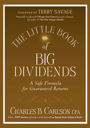 бесплатно читать книгу The Little Book of Big Dividends. A Safe Formula for Guaranteed Returns автора Terry Savage