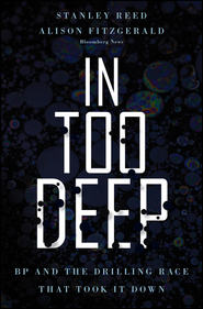 бесплатно читать книгу In Too Deep. BP and the Drilling Race That Took it Down автора Stanley Reed