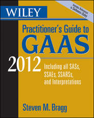бесплатно читать книгу Wiley Practitioner's Guide to GAAS 2012. Covering all SASs, SSAEs, SSARSs, and Interpretations автора Steven Bragg