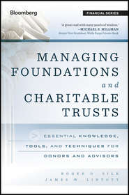 бесплатно читать книгу Managing Foundations and Charitable Trusts. Essential Knowledge, Tools, and Techniques for Donors and Advisors автора James Lintott