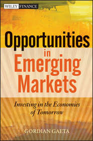 бесплатно читать книгу Opportunities in Emerging Markets. Investing in the Economies of Tomorrow автора Gordian Gaeta