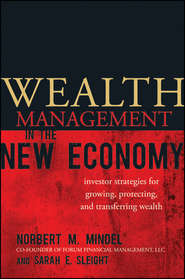 бесплатно читать книгу Wealth Management in the New Economy. Investor Strategies for Growing, Protecting and Transferring Wealth автора Norbert Mindel