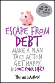 бесплатно читать книгу Escape From Debt. Make a Plan, Take Action, Get Happy and Love Your Life автора Tim Williamson