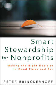 бесплатно читать книгу Smart Stewardship for Nonprofits. Making the Right Decision in Good Times and Bad автора Peter Brinckerhoff