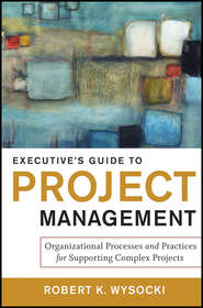 бесплатно читать книгу Executive's Guide to Project Management. Organizational Processes and Practices for Supporting Complex Projects автора Robert Wysocki