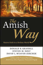 бесплатно читать книгу The Amish Way. Patient Faith in a Perilous World автора Donald Kraybill