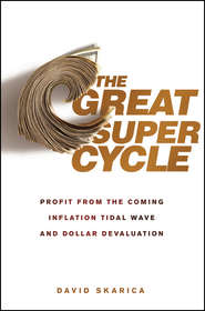 бесплатно читать книгу The Great Super Cycle. Profit from the Coming Inflation Tidal Wave and Dollar Devaluation автора David Skarica