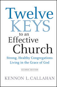 бесплатно читать книгу Twelve Keys to an Effective Church. Strong, Healthy Congregations Living in the Grace of God автора Kennon Callahan