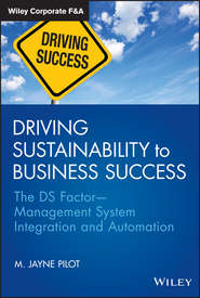 бесплатно читать книгу Driving Sustainability to Business Success. The DS FactorManagement System Integration and Automation автора M. Pilot