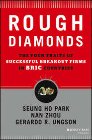бесплатно читать книгу Rough Diamonds. The Four Traits of Successful Breakout Firms in BRIC Countries автора Nan Zhou
