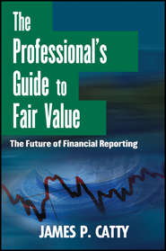 бесплатно читать книгу The Professional's Guide to Fair Value. The Future of Financial Reporting автора James Catty