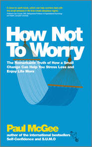 бесплатно читать книгу How Not To Worry. The Remarkable Truth of How a Small Change Can Help You Stress Less and Enjoy Life More автора Paul McGee