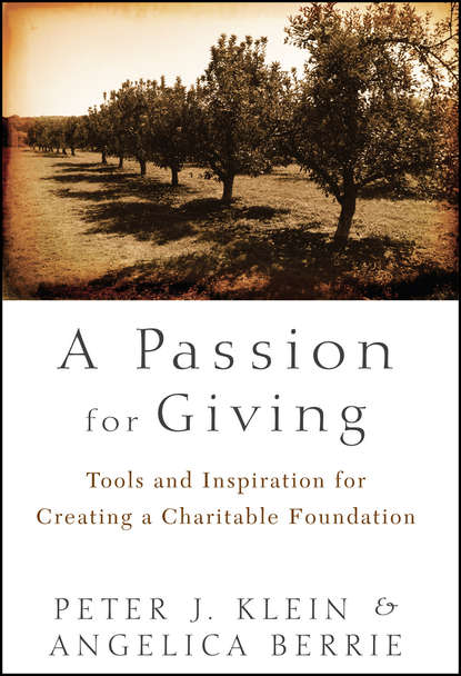 бесплатно читать книгу A Passion for Giving. Tools and Inspiration for Creating a Charitable Foundation автора Angelica Berrie