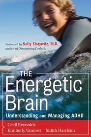бесплатно читать книгу The Energetic Brain. Understanding and Managing ADHD автора Kimberly Vannest