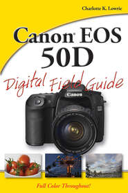 бесплатно читать книгу Canon EOS 50D Digital Field Guide автора Charlotte Lowrie