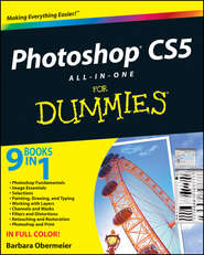 бесплатно читать книгу Photoshop CS5 All-in-One For Dummies автора Barbara Obermeier