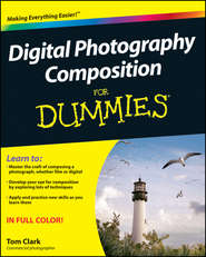 бесплатно читать книгу Digital Photography Composition For Dummies автора Thomas Clark