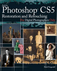 бесплатно читать книгу Photoshop CS5 Restoration and Retouching For Digital Photographers Only автора Mark Fitzgerald